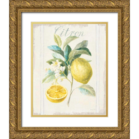 Floursack Lemon IV v2 Gold Ornate Wood Framed Art Print with Double Matting by Nai, Danhui