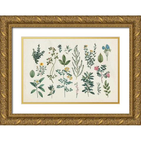 Victorian Garden III Gold Ornate Wood Framed Art Print with Double Matting by Wild Apple Portfolio