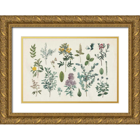 Victorian Garden IV Gold Ornate Wood Framed Art Print with Double Matting by Wild Apple Portfolio
