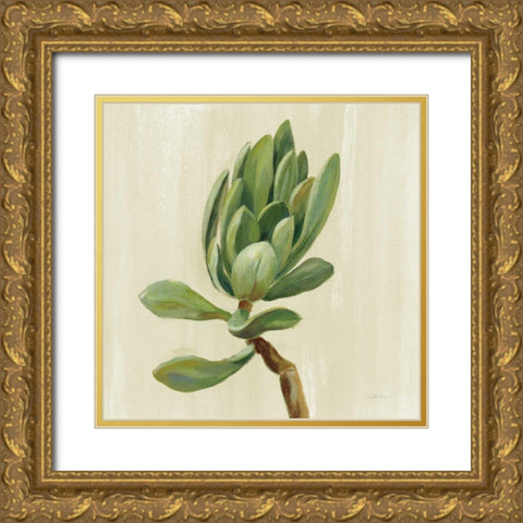 Front Yard Succulent III Gold Ornate Wood Framed Art Print with Double Matting by Vassileva, Silvia