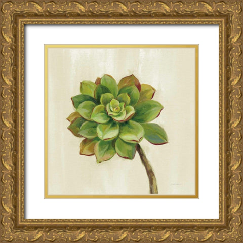 Front Yard Succulent IV Gold Ornate Wood Framed Art Print with Double Matting by Vassileva, Silvia