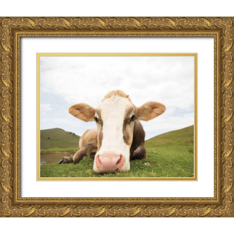 Close Up I v2 no Cows Crop Gold Ornate Wood Framed Art Print with Double Matting by Aledanda