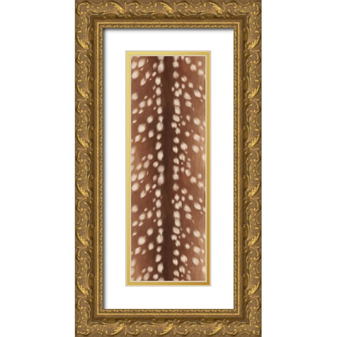 Sweet Fawn II Gold Ornate Wood Framed Art Print with Double Matting by Penner, Janelle