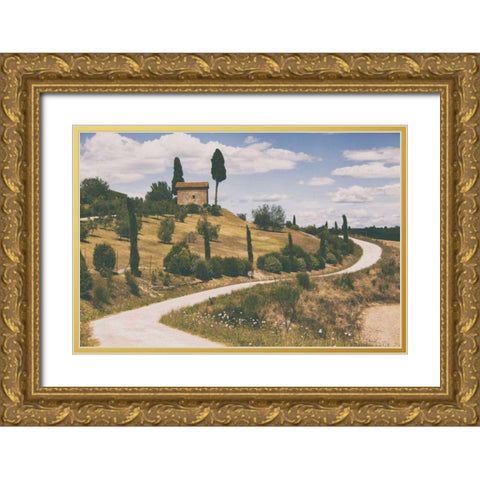Strada Bianca I Gold Ornate Wood Framed Art Print with Double Matting by Aledanda