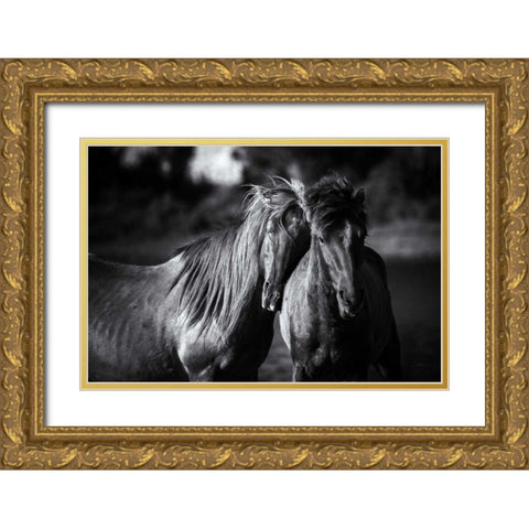 Buddies Gold Ornate Wood Framed Art Print with Double Matting by Aledanda