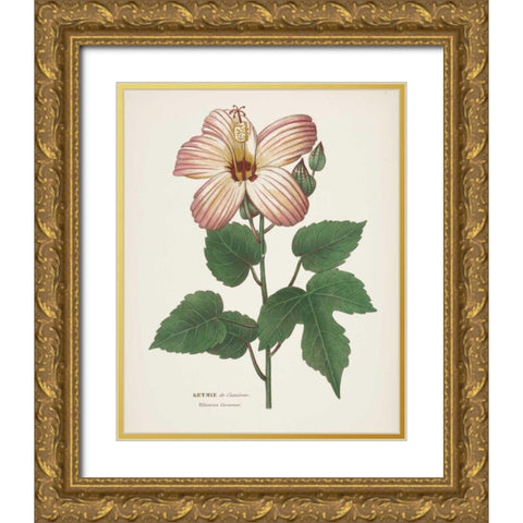 Antique Botanical XXVII Cream Gold Ornate Wood Framed Art Print with Double Matting by Wild Apple Portfolio