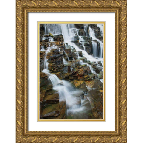 Falls on McDonald Creek color Gold Ornate Wood Framed Art Print with Double Matting by Majchrowicz, Alan