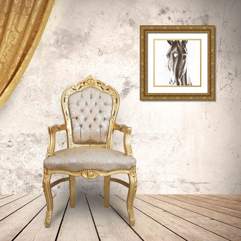 Le Cheval Noir Brown Crop Gold Ornate Wood Framed Art Print with Double Matting by Valle, Aimee Del