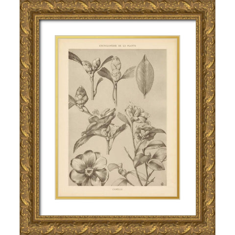 Lithograph Florals II Gold Ornate Wood Framed Art Print with Double Matting by Wild Apple Portfolio
