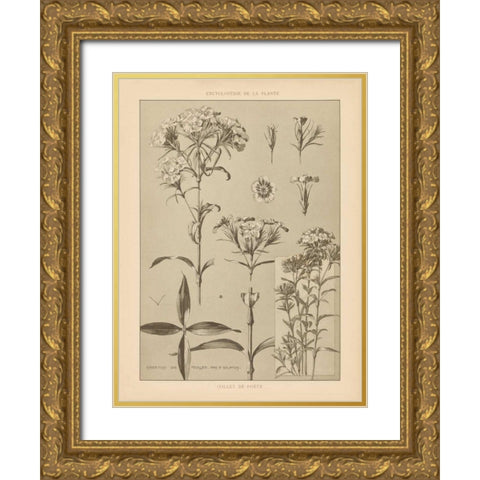 Lithograph Florals III Gold Ornate Wood Framed Art Print with Double Matting by Wild Apple Portfolio