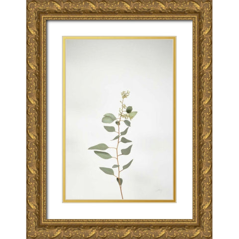 Simple Stems II Gold Ornate Wood Framed Art Print with Double Matting by Bradley, Felicity