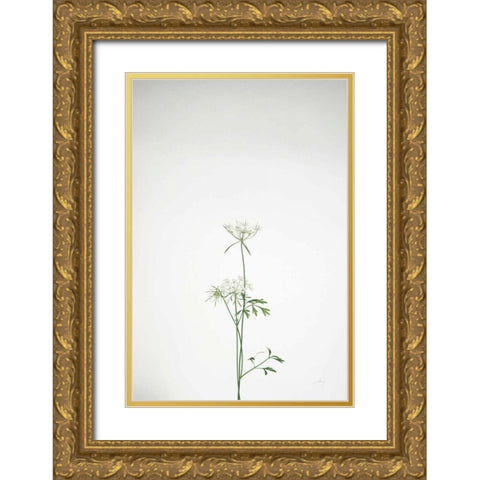 Simple Stems VI Gold Ornate Wood Framed Art Print with Double Matting by Bradley, Felicity