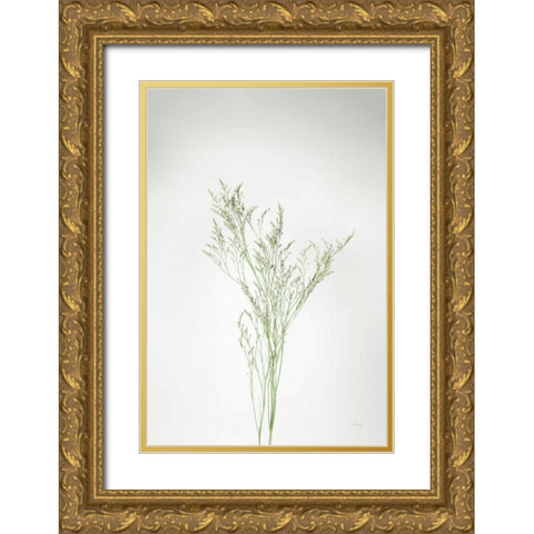 Simple Stems VII Gold Ornate Wood Framed Art Print with Double Matting by Bradley, Felicity