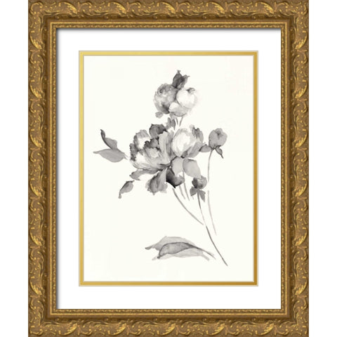 Peony Blossoms Gray Crop Gold Ornate Wood Framed Art Print with Double Matting by Wild Apple Portfolio