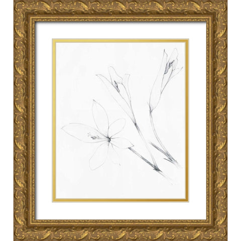 Graphite Floral IV Gold Ornate Wood Framed Art Print with Double Matting by Tillmon, Avery