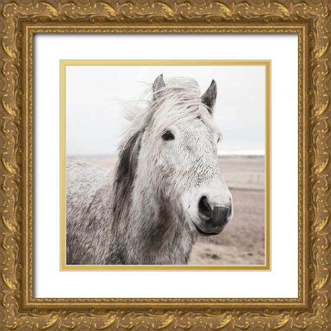 Heida III BW Gold Ornate Wood Framed Art Print with Double Matting by Marshall, Laura