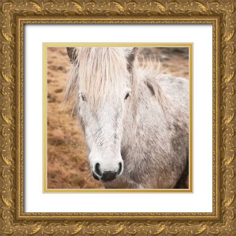 Heida IV Gold Ornate Wood Framed Art Print with Double Matting by Marshall, Laura