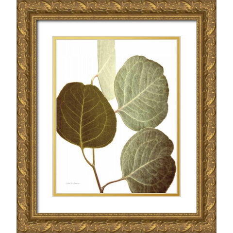Eucalyptus Color on White Gold Ornate Wood Framed Art Print with Double Matting by Van Swearingen, Debra