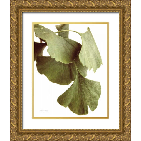 Ginko Color on White Gold Ornate Wood Framed Art Print with Double Matting by Van Swearingen, Debra