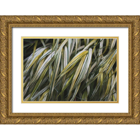 Leafy III Gold Ornate Wood Framed Art Print with Double Matting by Urquhart, Elizabeth