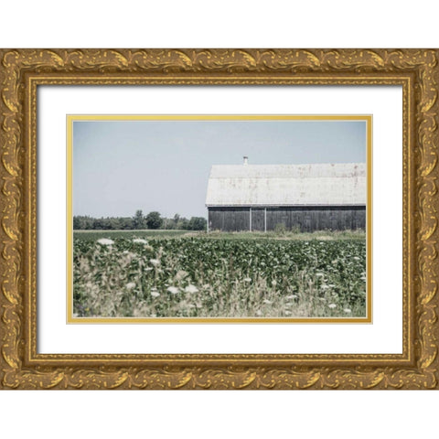 Weathered I Gold Ornate Wood Framed Art Print with Double Matting by Urquhart, Elizabeth