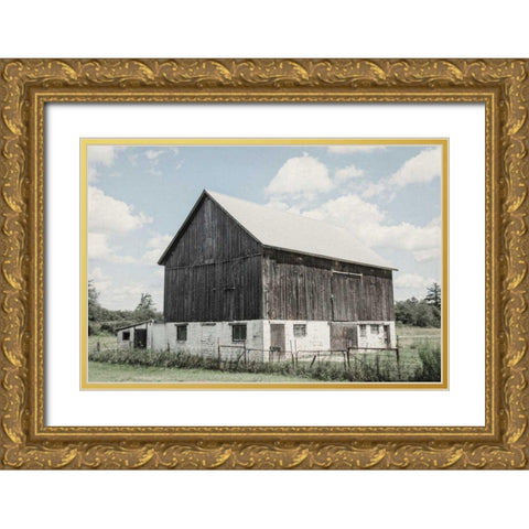 Weathered IV Gold Ornate Wood Framed Art Print with Double Matting by Urquhart, Elizabeth
