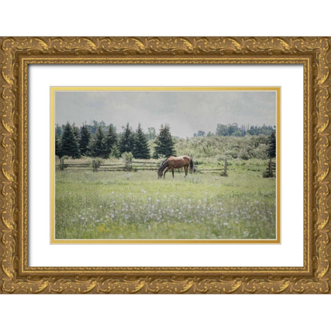 Sun Drenched II Gold Ornate Wood Framed Art Print with Double Matting by Urquhart, Elizabeth