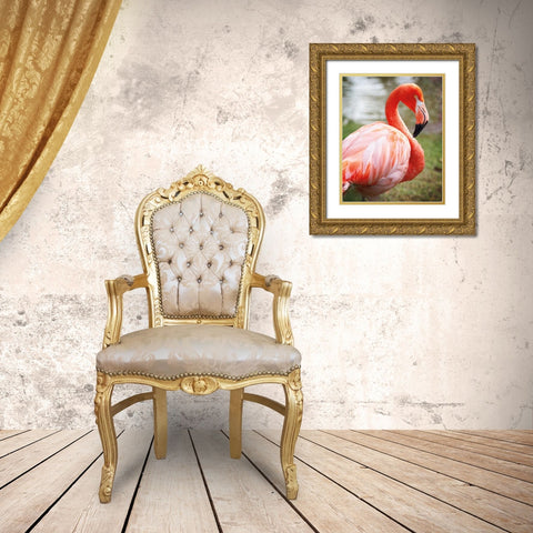 Flamingo I Gold Ornate Wood Framed Art Print with Double Matting by Van Swearingen, Debra
