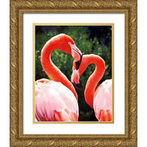 Flamingo II Gold Ornate Wood Framed Art Print with Double Matting by Van Swearingen, Debra