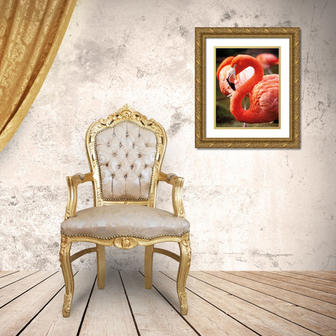 Flamingo III Gold Ornate Wood Framed Art Print with Double Matting by Van Swearingen, Debra