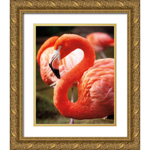 Flamingo III Gold Ornate Wood Framed Art Print with Double Matting by Van Swearingen, Debra
