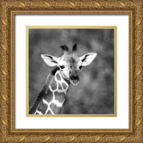Little Guy Gold Ornate Wood Framed Art Print with Double Matting by Van Swearingen, Debra