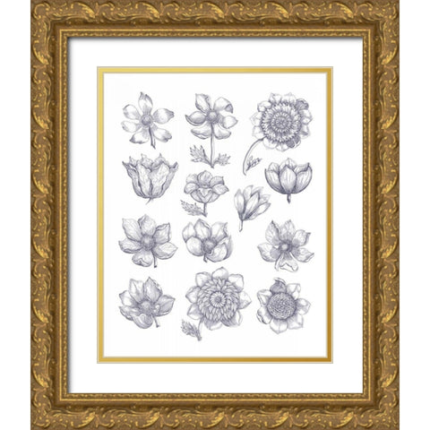 Anemone Plate I Blue Gold Ornate Wood Framed Art Print with Double Matting by Wild Apple Portfolio