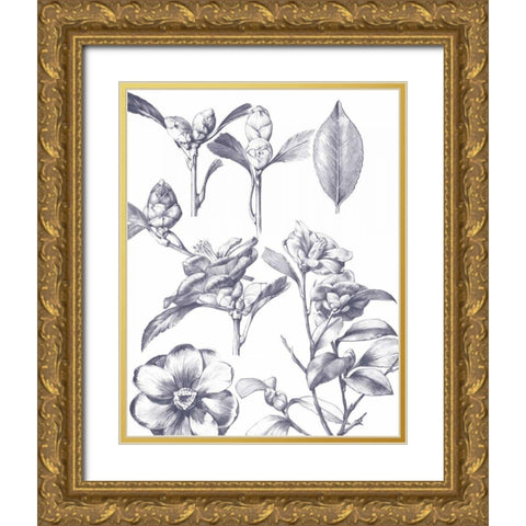 Lithograph Florals II Blue Gold Ornate Wood Framed Art Print with Double Matting by Wild Apple Portfolio