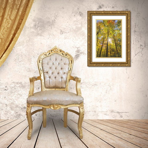 Autumn Foliage Sunburst III Gold Ornate Wood Framed Art Print with Double Matting by Majchrowicz, Alan