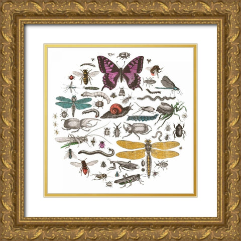 Insect Circle II Bright v2 Gold Ornate Wood Framed Art Print with Double Matting by Wild Apple Portfolio