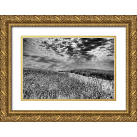 Nantucket Dunes Gold Ornate Wood Framed Art Print with Double Matting by Aledanda