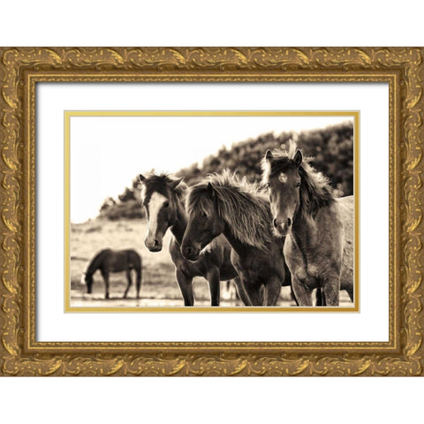 Horses Three Sepia Gold Ornate Wood Framed Art Print with Double Matting by Aledanda