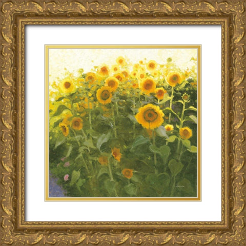 Sunflower Field Gold Ornate Wood Framed Art Print with Double Matting by Novak, Shirley