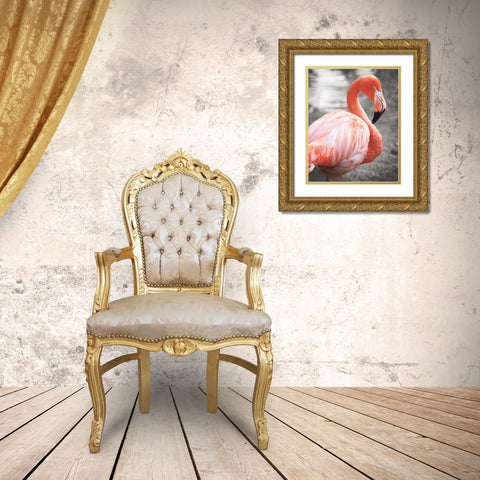 Flamingo I on BW Gold Ornate Wood Framed Art Print with Double Matting by Van Swearingen, Debra
