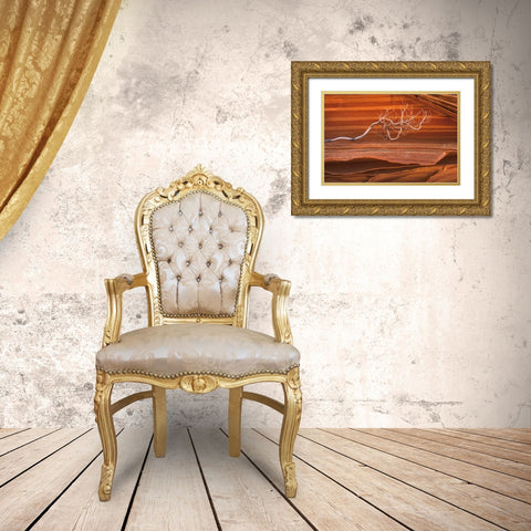 Coyote Buttes III Gold Ornate Wood Framed Art Print with Double Matting by Majchrowicz, Alan