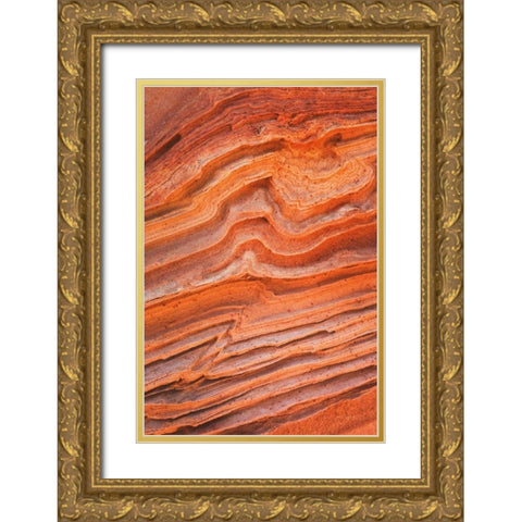 Coyote Buttes IV Gold Ornate Wood Framed Art Print with Double Matting by Majchrowicz, Alan
