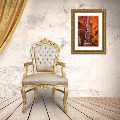Buckskin Gulch IV Gold Ornate Wood Framed Art Print with Double Matting by Majchrowicz, Alan