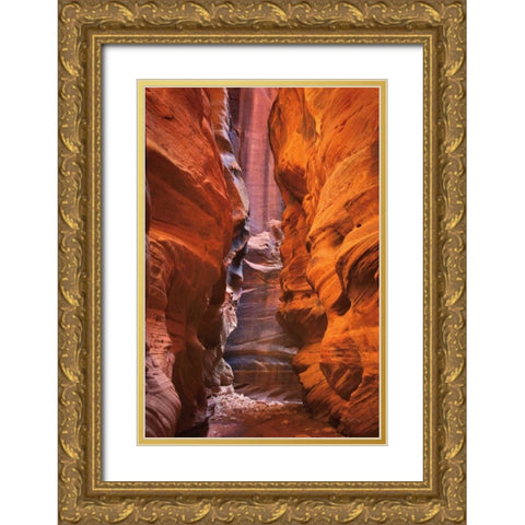 Buckskin Gulch IV Gold Ornate Wood Framed Art Print with Double Matting by Majchrowicz, Alan