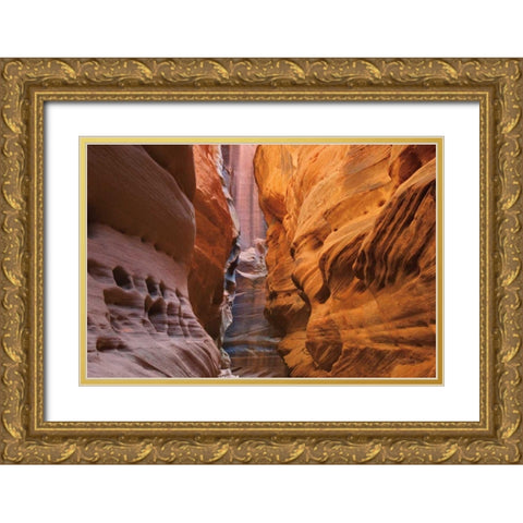 Buckskin Gulch V Gold Ornate Wood Framed Art Print with Double Matting by Majchrowicz, Alan