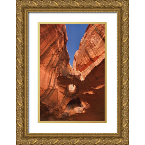 Neon Canyon I Gold Ornate Wood Framed Art Print with Double Matting by Majchrowicz, Alan