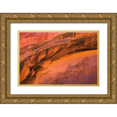 Neon Canyon II Gold Ornate Wood Framed Art Print with Double Matting by Majchrowicz, Alan
