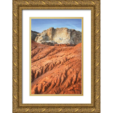 Grand Staircase II Gold Ornate Wood Framed Art Print with Double Matting by Majchrowicz, Alan