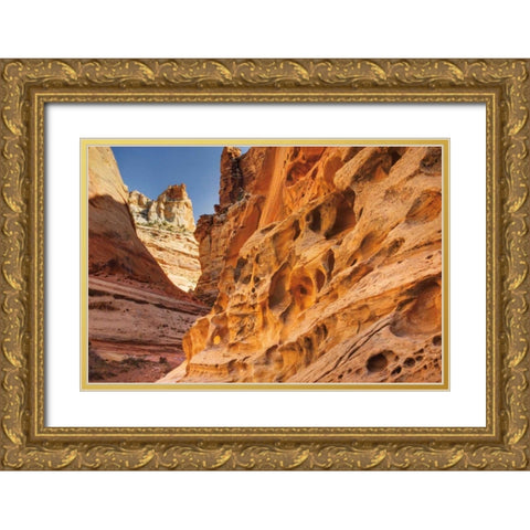Crack Canyon I Gold Ornate Wood Framed Art Print with Double Matting by Majchrowicz, Alan