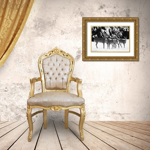 The Herd Gold Ornate Wood Framed Art Print with Double Matting by Aledanda